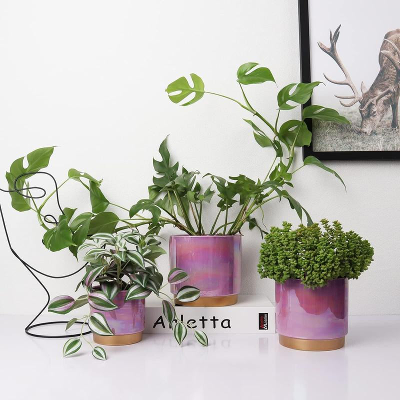 3 Pack Ceramic Pots for Plants, Rainbow Pearl Glaze Planter with Drainage Hole for Indoor-Outdoor Large round Succulent Orchid Flower Pots