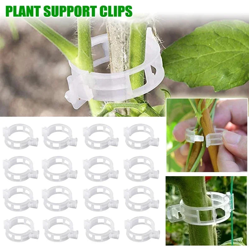 50PCS Plant Clips Supports Reusable Plastic Connects Fixing Vine Tomato Stem Grafting Vegetable Plants Orchard and Garden Tools