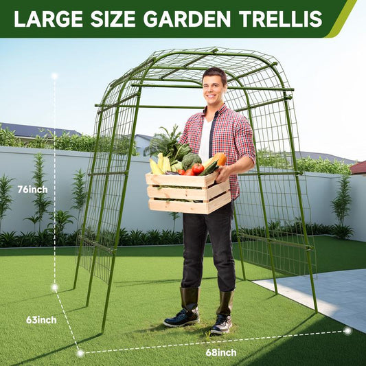 HIRALIY Metal Garden Arch Trellis for Climbing Plants - Support Structure for Tomatoes, Grapes, and Vegetables - Ideal for Raised Garden Beds and Outdoor Spaces