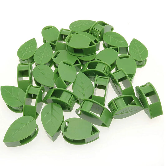Invisible Plant Climbing Wall Fixture Rattan Vine Bracket Fixed Buckle Leaf Clips Traction Holder Garden Опора Для Растений