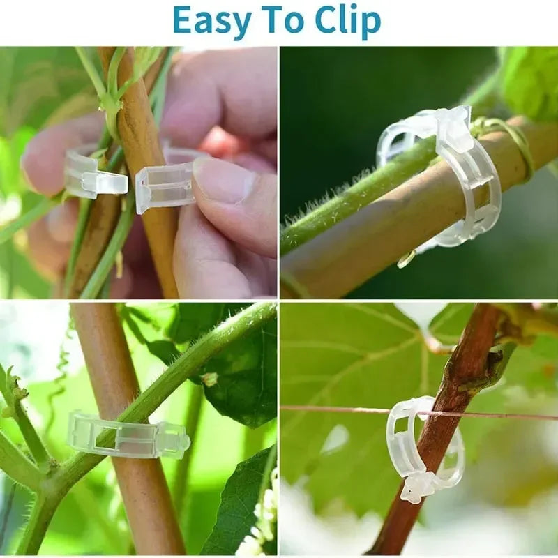 50PCS Plant Clips Supports Reusable Plastic Connects Fixing Vine Tomato Stem Grafting Vegetable Plants Orchard and Garden Tools