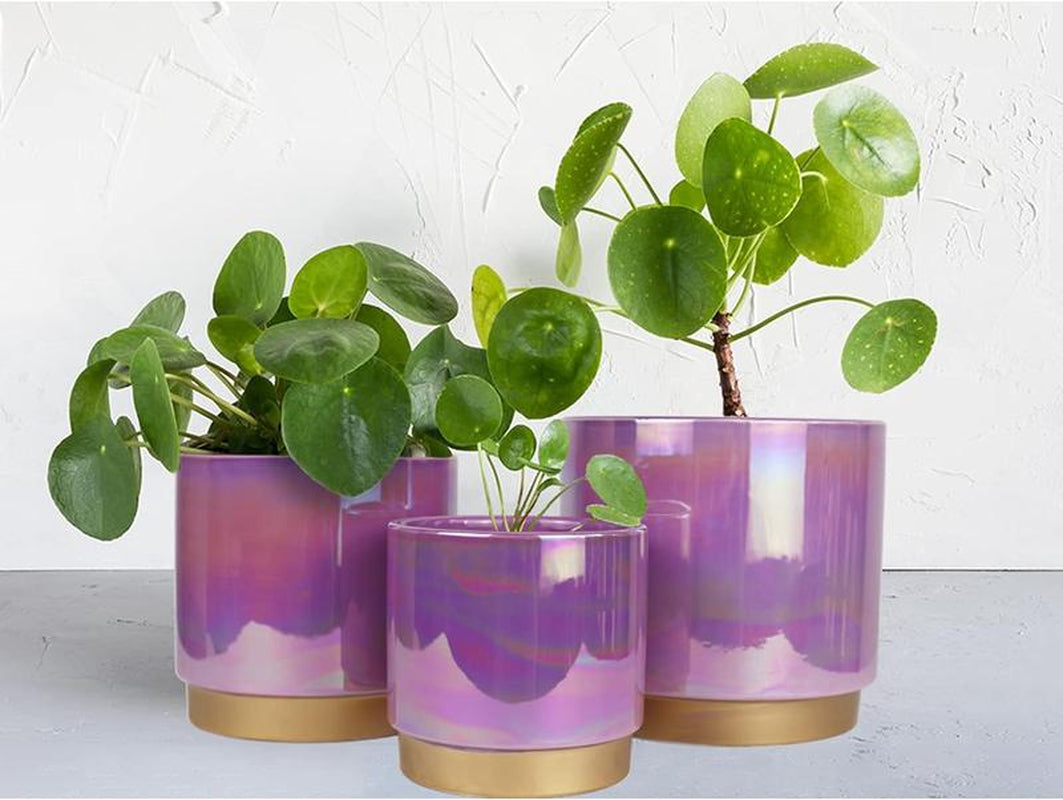 3 Pack Ceramic Pots for Plants, Rainbow Pearl Glaze Planter with Drainage Hole for Indoor-Outdoor Large round Succulent Orchid Flower Pots