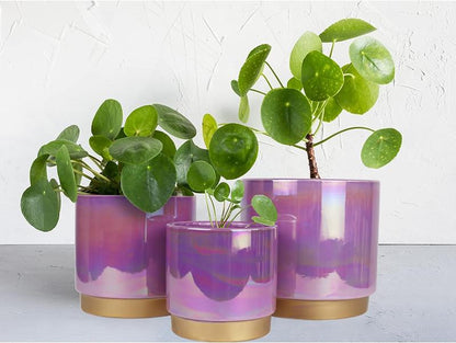 3 Pack Ceramic Pots for Plants, Rainbow Pearl Glaze Planter with Drainage Hole for Indoor-Outdoor Large round Succulent Orchid Flower Pots