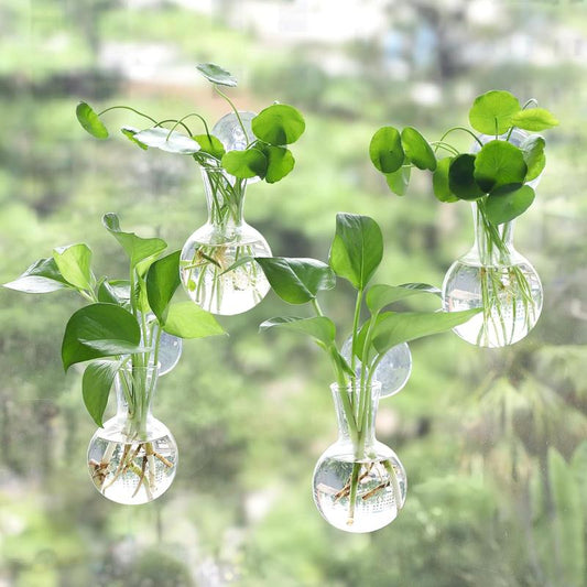 4 Pcs Window Propagation Stations, Easy to Install Plant Propagation Bulbs with Suckion Cups, No Nails Wall Hanging Planter Propagation Station, Glass Plant Terrarium Vase Water Modern