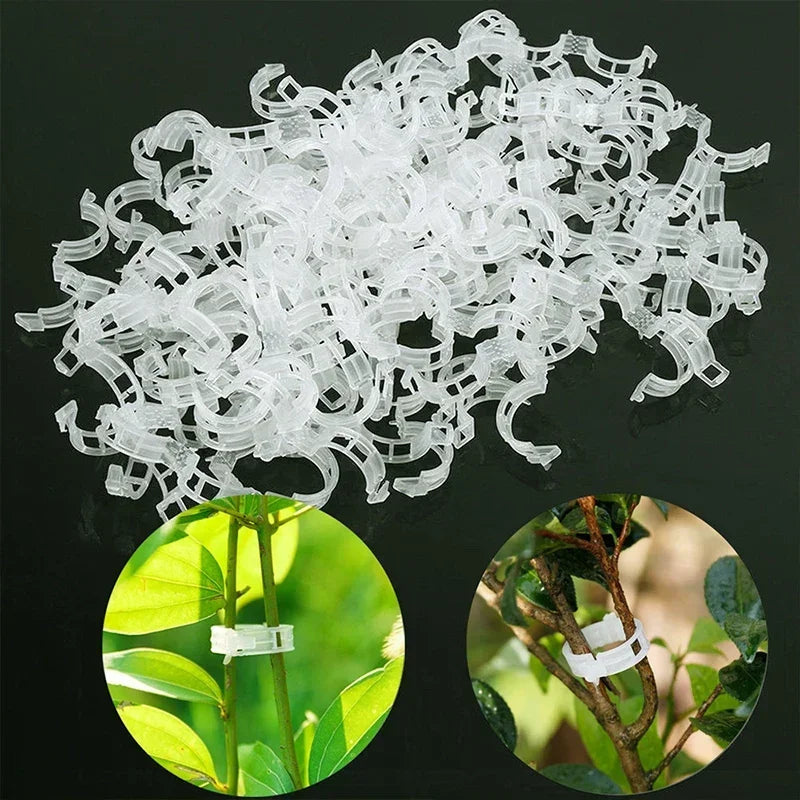 50PCS Plant Clips Supports Reusable Plastic Connects Fixing Vine Tomato Stem Grafting Vegetable Plants Orchard and Garden Tools