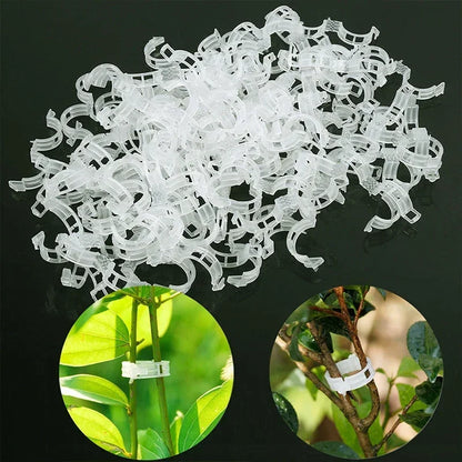 50PCS Plant Clips Supports Reusable Plastic Connects Fixing Vine Tomato Stem Grafting Vegetable Plants Orchard and Garden Tools